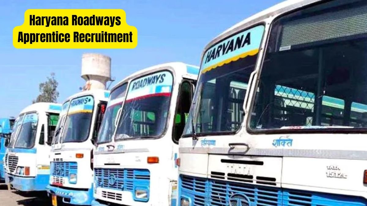 Fatehabad Roadways Apprentice Recruitment