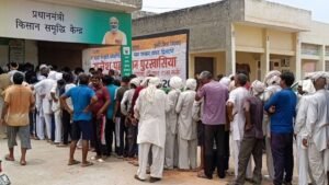 सिरसा में फसल पंजीकरण के लिए रविवार को भी खुले रहेंगे SDM कार्यालय, अंतिम तारीख 27 सितंबर,