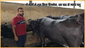 डेयरी शुरू करने का सोच रहे हैं? तो करनाल के रॉबिन से समझिए पूरा बिजनेस मॉडल, जो डेयरी से आज कमा रहे महीने के लाखों