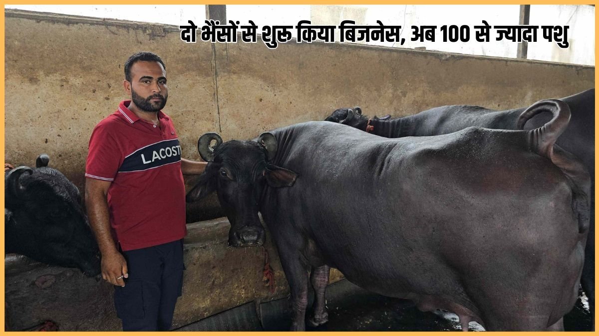 करनाल के डेयरी किसान रॉबिन का आधुनिक डेयरी फार्म