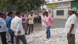 हरियाणा में नरमा 9,350 रुपये तक पहुंचा, सरसों 8,200; देखें आज के मंडी भाव