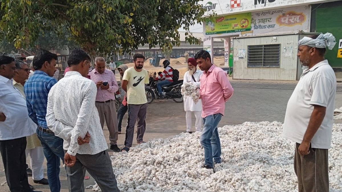 सिवानी मंडी में नरमा सरसों और अन्य फसलों के आज के मंडी भाव
